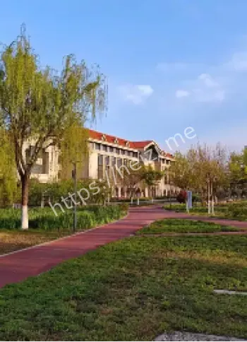 青岛大学刘熙莹