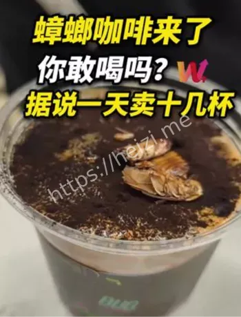 博物馆蟑螂咖啡