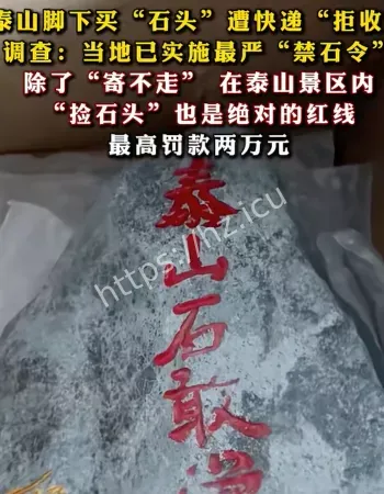 泰山最严禁石令